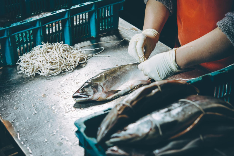 Norwegia zobowiązana jest ustalać z UE m.in. limity połowu ryb.